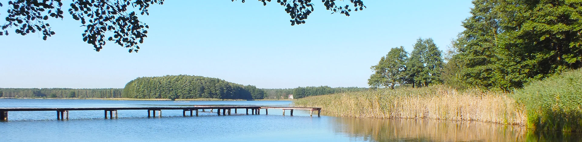 Zdjęcie przedstawia jezioro i pomost otoczone drzewami