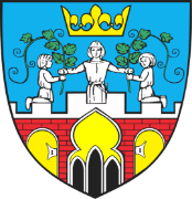 Logo Pyzdry