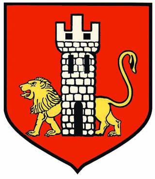 Herb przedstawia złotego lwa z zadartym ogonem, kroczącym w heraldycznie prawą stronę, za białą wieżą forteczną. Całość znajduje się na czerwonej tarczy herbowej.