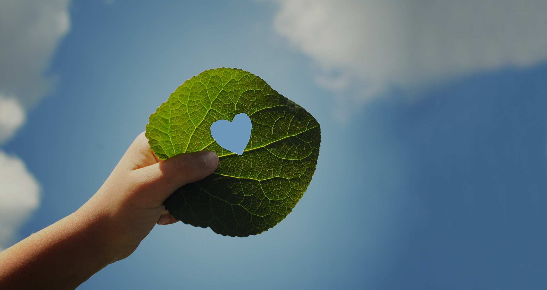 Baner Zakładu Zagospodarowania Odpadów Czysta Błękitna Kraina Sp. z o.o.
